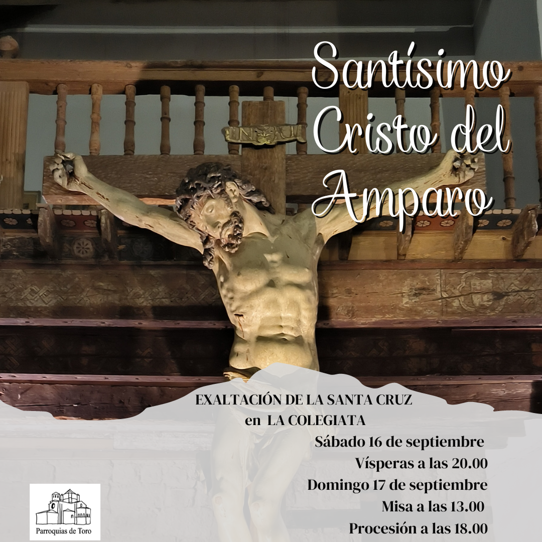 El Cristo del Amparo en la Colegiata de Santa María la Mayor Toro