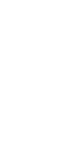 Logotipo-Toro-Sacro-blanco